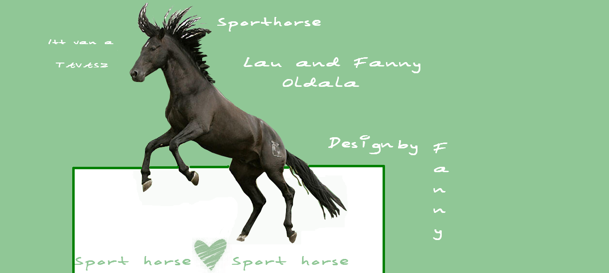 Magical Horse Lovasiskola